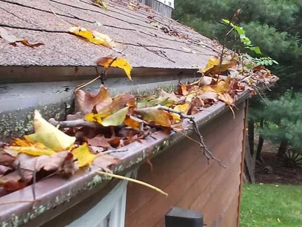 Western Connecticut clogged gutters