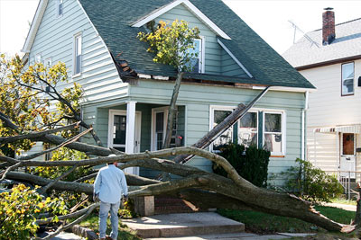 Roofing damage emergency after a fallen tree